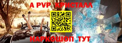 гашик Сланцы