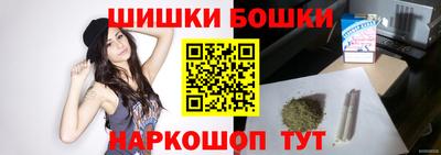 гашик Сланцы