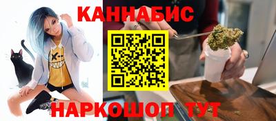 гашик Сланцы