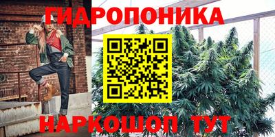 тгк Славгород
